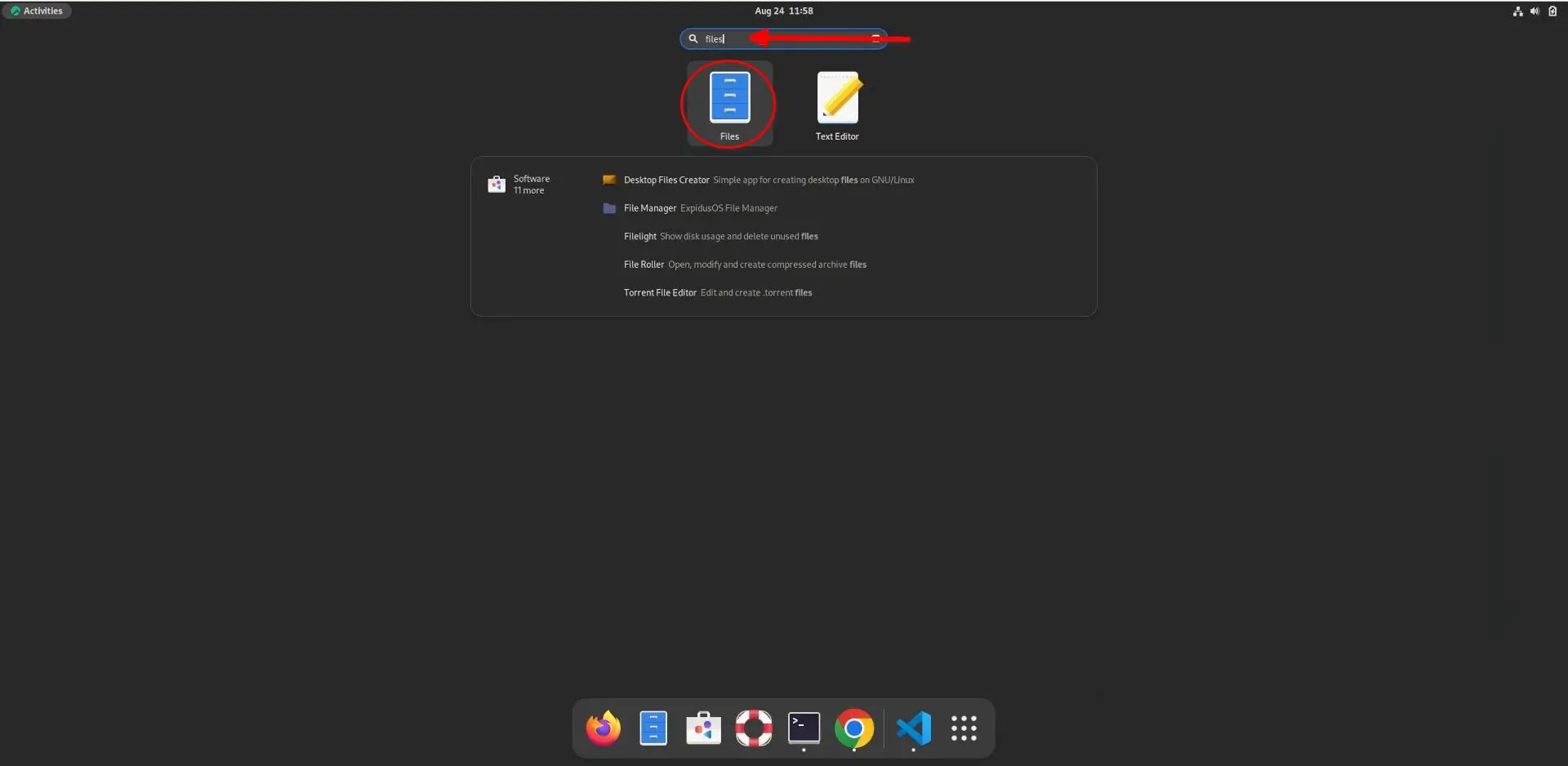 Activites pane on a Rocky Linux system. 'Files' is typed into the search field. The Files app is hovered over.