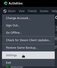 Steam settings