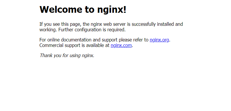 La pagina di benvenuto di Nginx