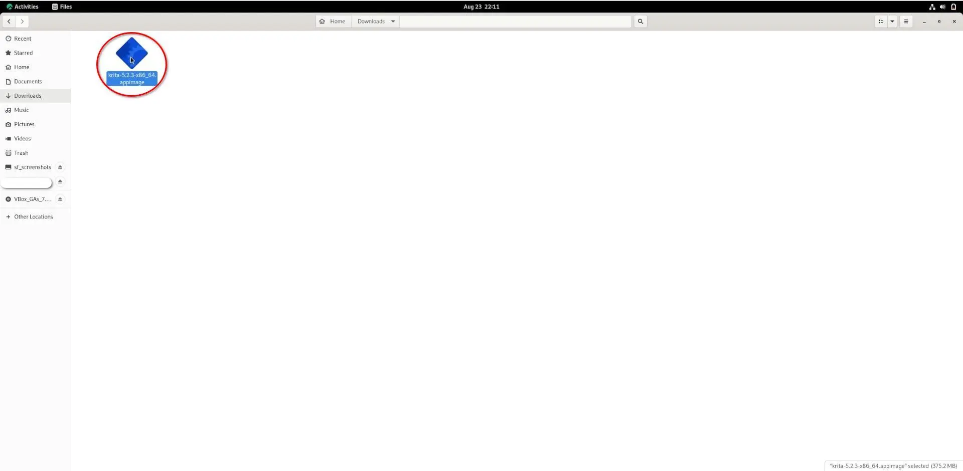 The AppImage is selected indicating it was double-clicked and ran